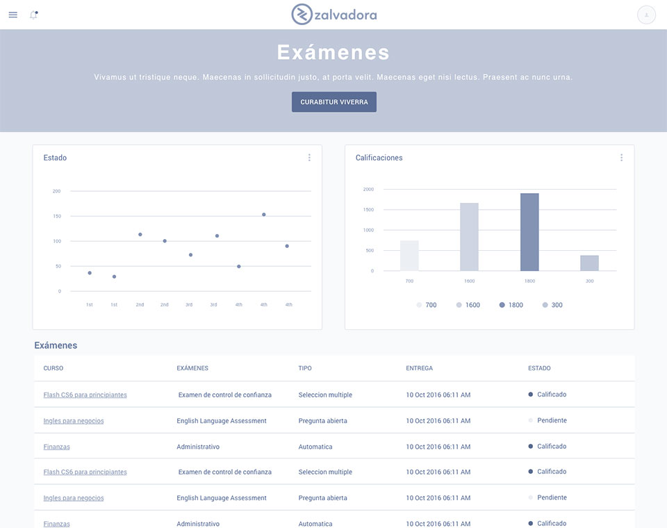 zalvadora - wireframe